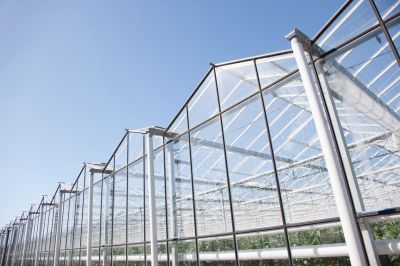 Commercial Greenhouse - Jem Green Houses Dallas, Pennsylvania