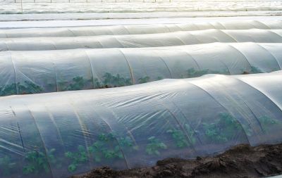 Greenhouse Covering - Jem Green Houses Prince George, Virginia