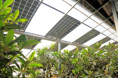 Solar Greenhouse - Jem Green Houses Prince George, Virginia