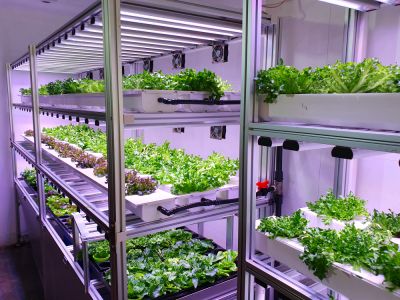 Indoor Greenhouse Installation - Jem Green Houses Dallas, Pennsylvania