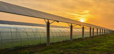 Greenhouse Panels Repair - Jem Green Houses Dallas, Pennsylvania